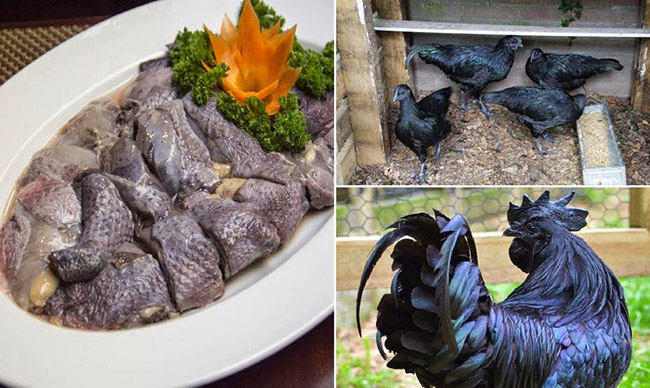 THỰC ĐƠN ĐA DẠNG CÁC MÓN ĂN ĐẶC SẢN TÂY BẮC TẠI QUÁN VŨ BẾP HUẾ