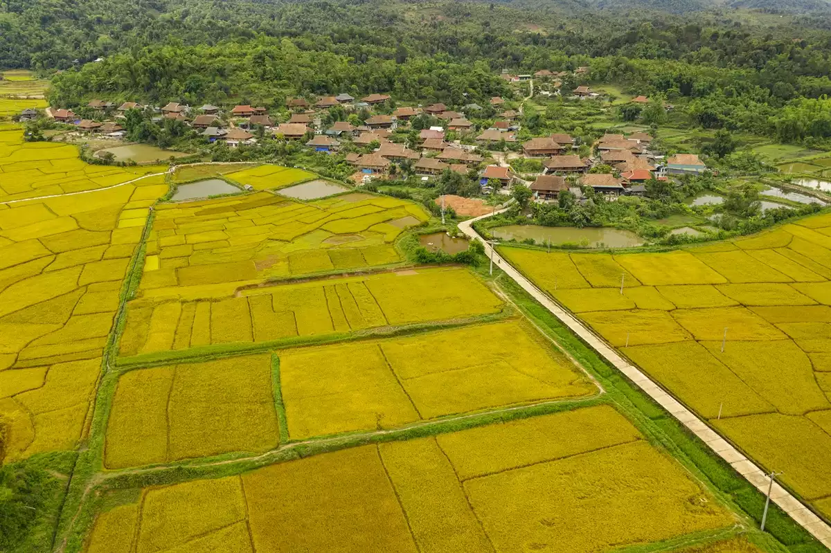 Bản văn hóa du lịch Che Căn