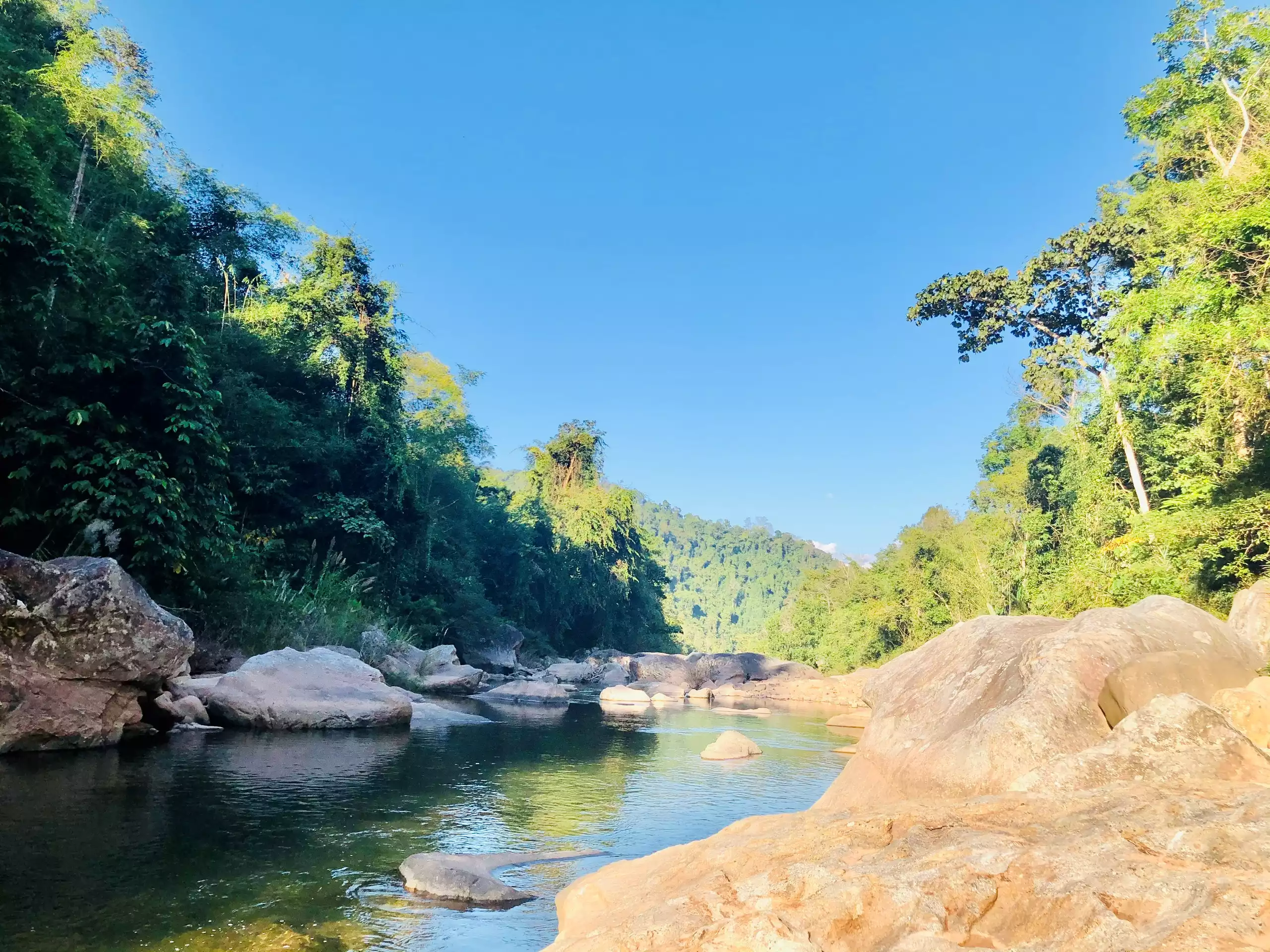 Khu bảo tồn thiên nhiên Mường Nhé